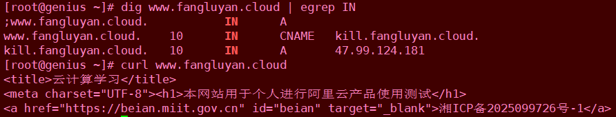 image-20250222210603173